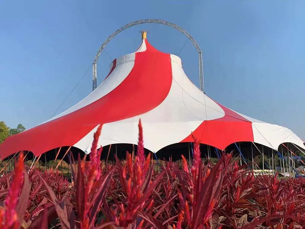 CIRCUS WITH ARCH (4)